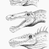 Spinosauridae