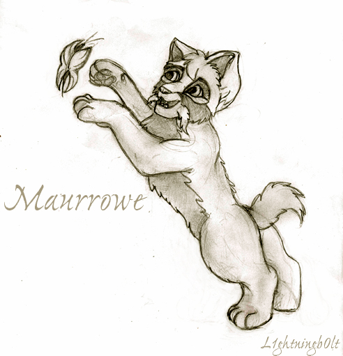 Maurrowe