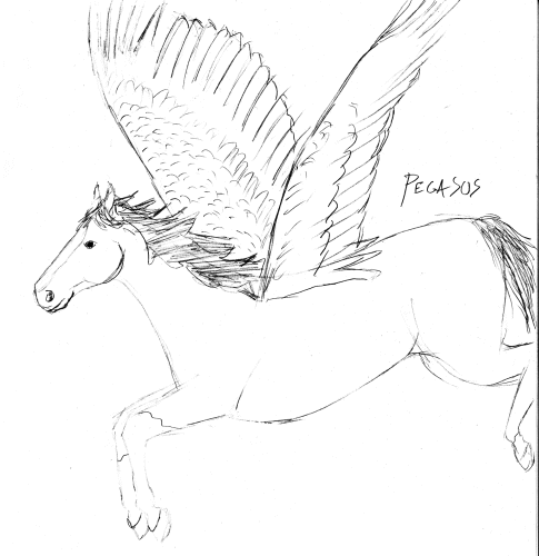 Sketchy Pegasus