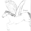 Sketchy Pegasus