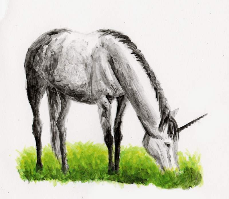Unicorn Painted