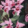 Pink Orchid Painting