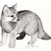BABAY FOX