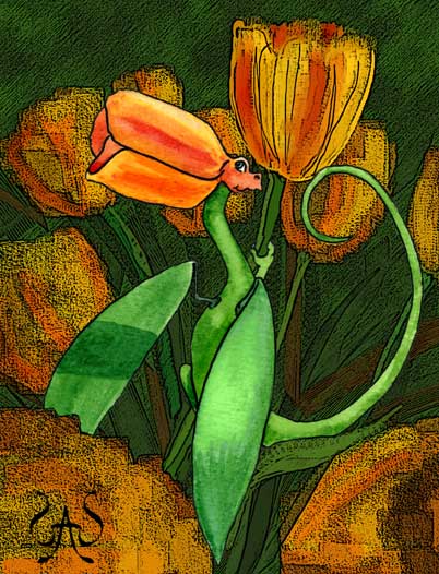 Tulip Fairy Dragon