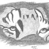 tiger eyes
