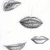 Lips Study