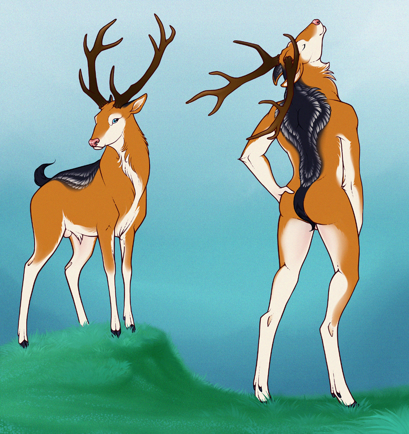 Armonkyi Deer