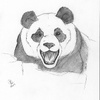 Roar Panda