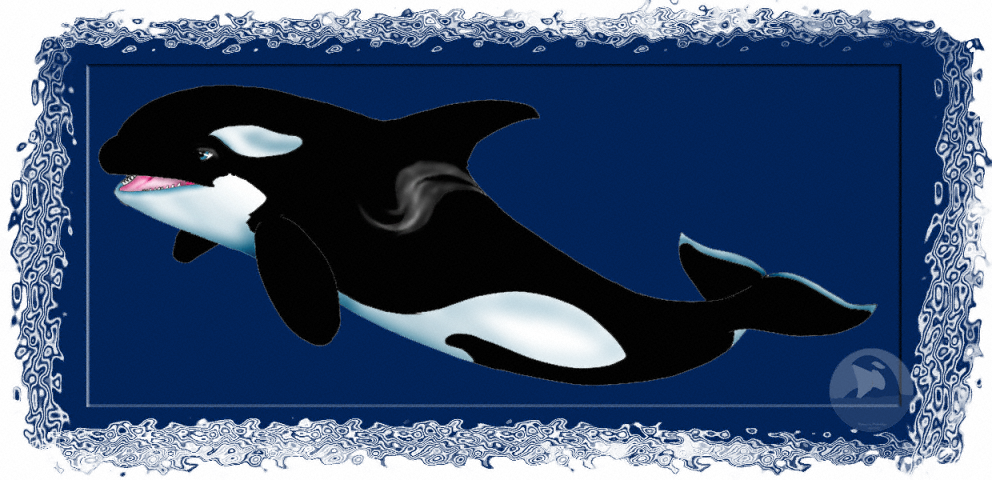 Another cartoon orca