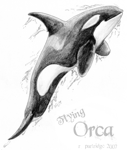 Flying Orca