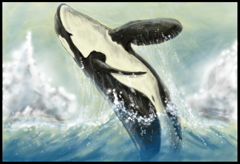 Leaping Orca - Tablet