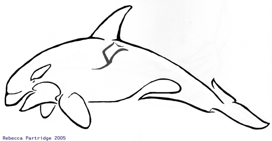 Orca Motif Thingy