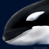 Orca Head