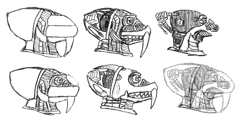 Wolfs Head - anatomy