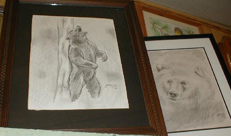 Bear Sketches