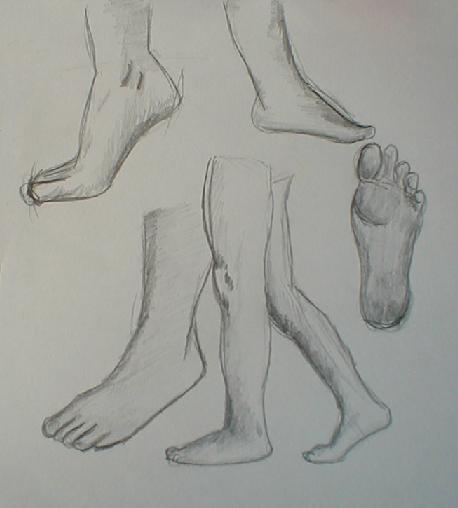 Foot Study