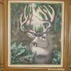 A Deer Portrait