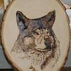 Wolf-Woodburning