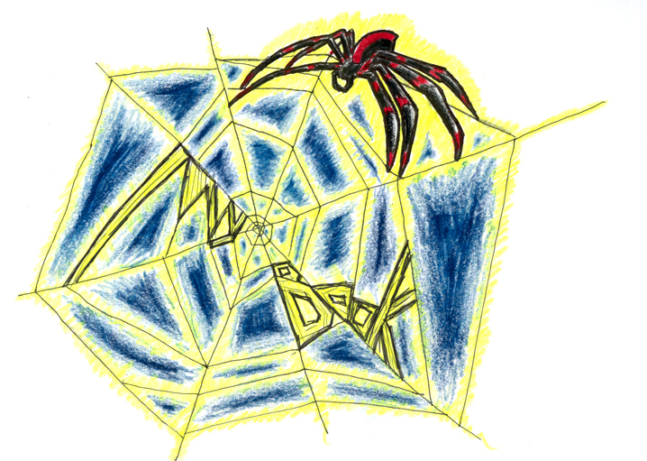 Spider Doodle