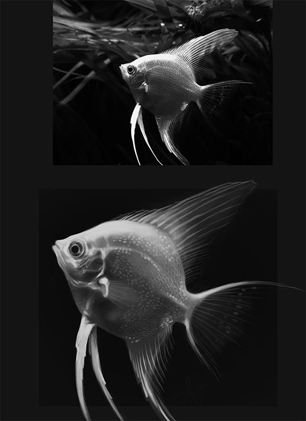 Academic - Fish Study