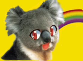 koala what the hell
