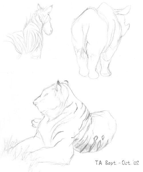 Zoo Sketches, Part 1