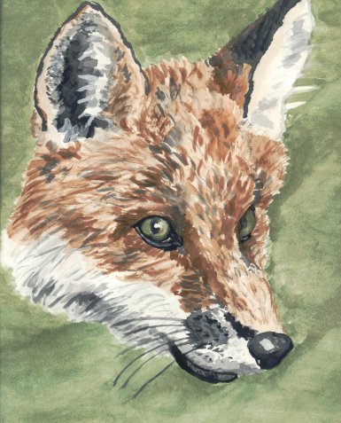 Fox head