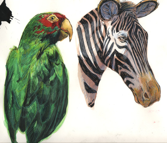 Parrot and Zebra: More Watercolor (and other media)