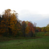 Autumn Woods 13