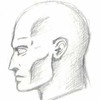 Anatomy Sketch: Head