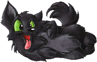 Little black wolf with green eyes.