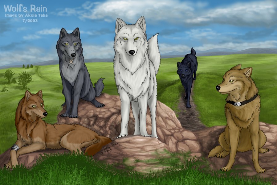 All Five Wolves Together