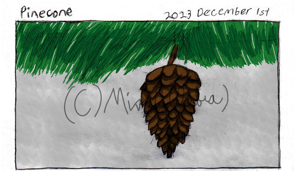 Pinecone - December 1st Drawing Challenge