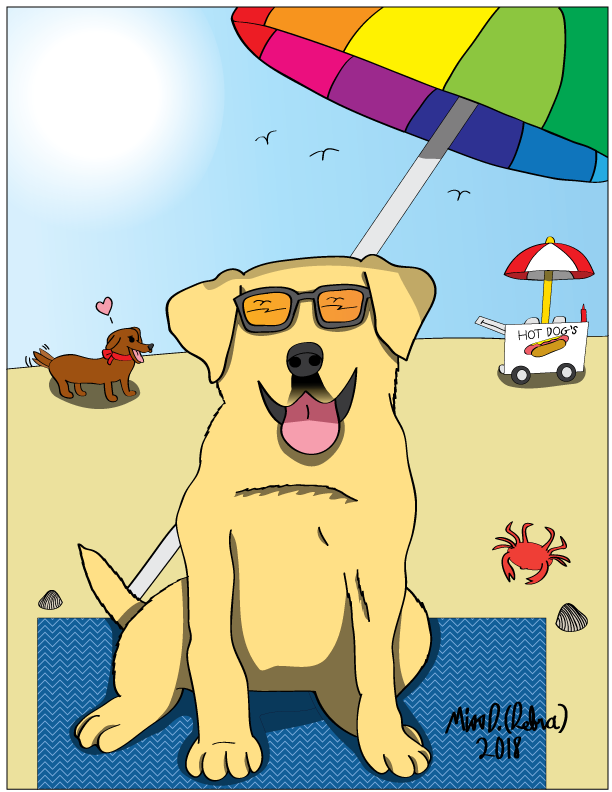 Doggie at the Beach
