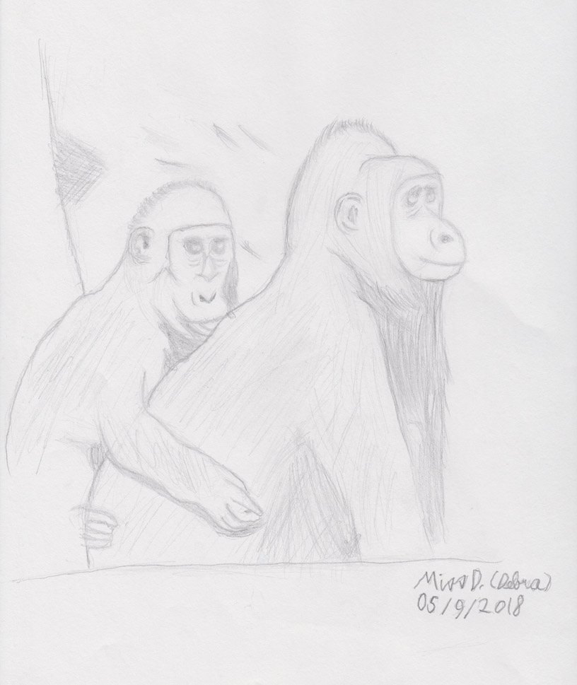 Gorilla and Young Sketch