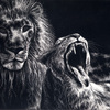 Lethargic Lions