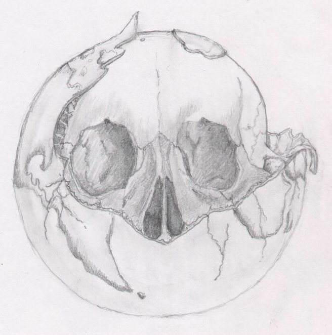 Oxygene Skull