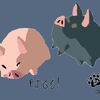 The Outset island Piggies