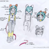 Character Sheet: Kariya