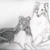 Dogs in pencil