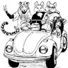 Furs in a Bug