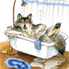 Wolf in Bathtub