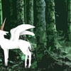 Unicorn in the wood