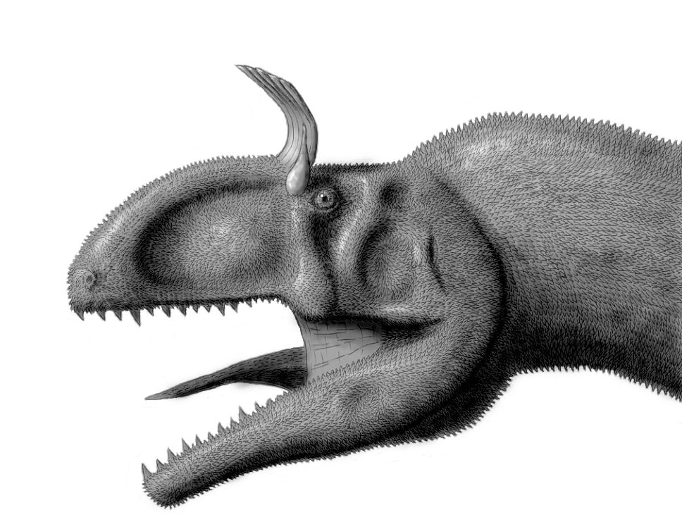 Cryolophosaurus ellioti in grayscale