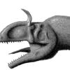 Cryolophosaurus ellioti in grayscale
