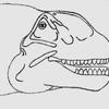 Camarasaurus Head Study