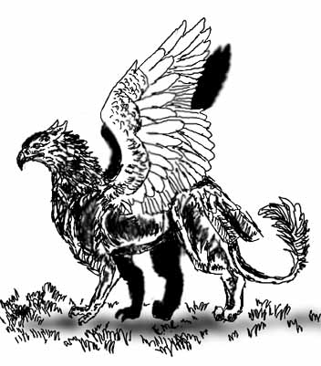 a gryph sketch