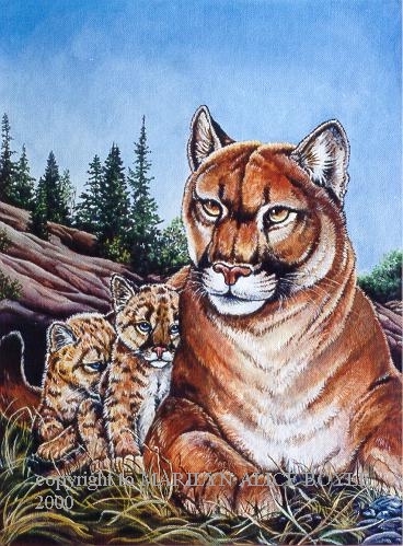 Pride and Joy - cougar and cubs