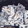 A  Mother's Love - snow leopards