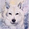 White  Wolf